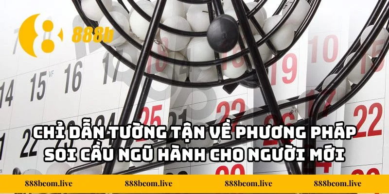 Chỉ dẫn tường tận về phương pháp soi cầu ngũ hành cho người mới