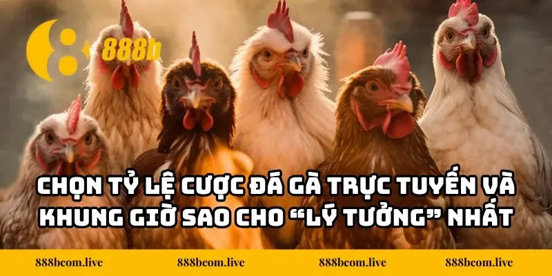 Chọn tỷ lệ cược đá gà trực tuyến và khung giờ sao cho “lý tưởng” nhất